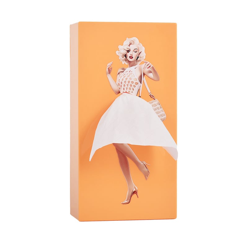 Creative Tissue Boxes Holder