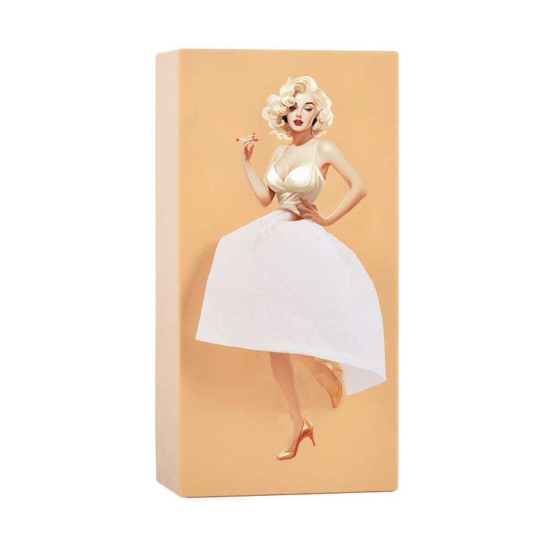 Creative Tissue Boxes Holder
